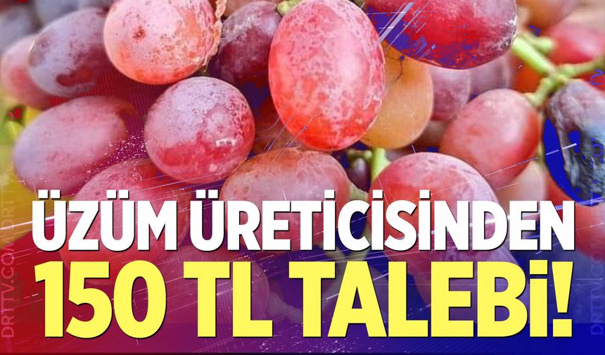 Üzüm Üreticisinden 150 TL Talebi