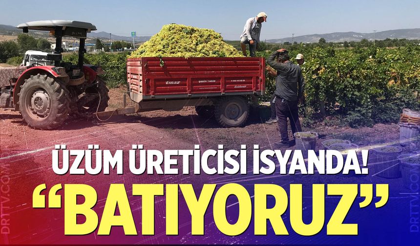Üzüm üreticisi sezona dertli girdi