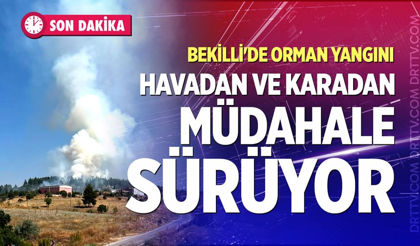 Bekilli'de orman yangını: Havadan ve karadan müdahale sürüyor