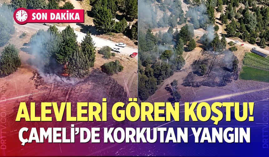 Alevleri gören koştu!