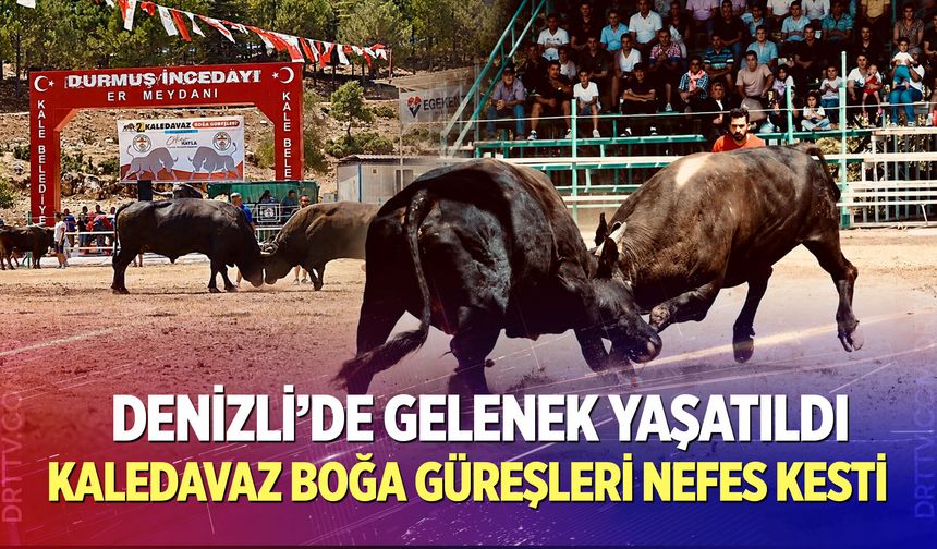 Kaledavaz Boğa Güreşleri nefes kesti