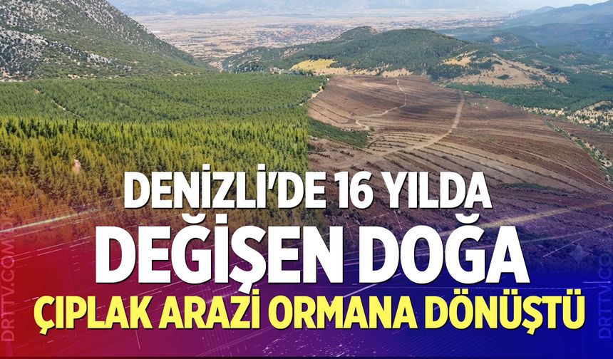 Denizli'de 16 yılda değişen doğa