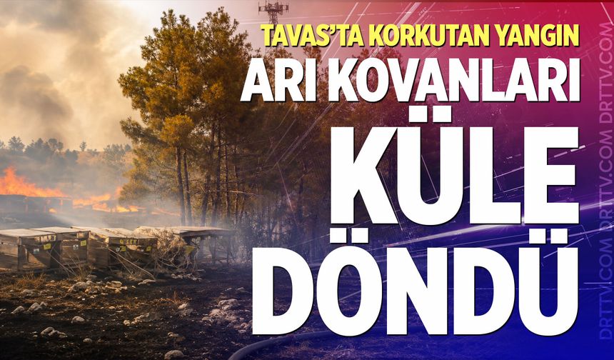 Tavas’ta korkutan yangın: Arı kovanları küle döndü