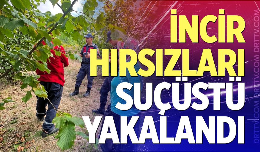 İncir hırsızları suçüstü yakalandı