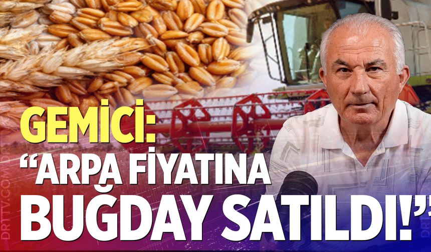Denizli’de hububat hasadı tamamlandı: Peki bir sezon nasıl geçti?