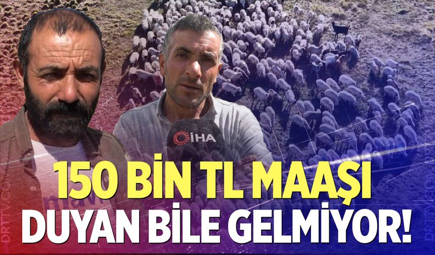 Çoban maaşları dudak uçuklattı, ama sorun çözülmedi