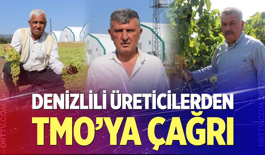 Denizlili üreticilerden TMO'ya alım çağrısı