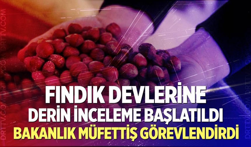 Fındık piyasasına sıkı denetim