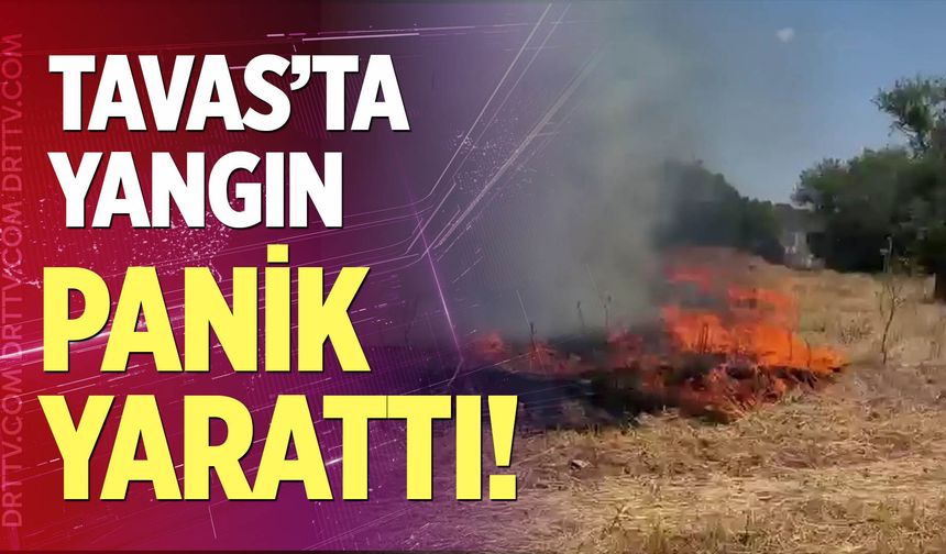 Tavas'ta yangın panik yarattı!