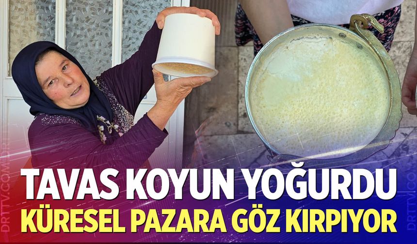 Tavas Koyun Yoğurdu Küresel Pazara Göz Kırpıyor
