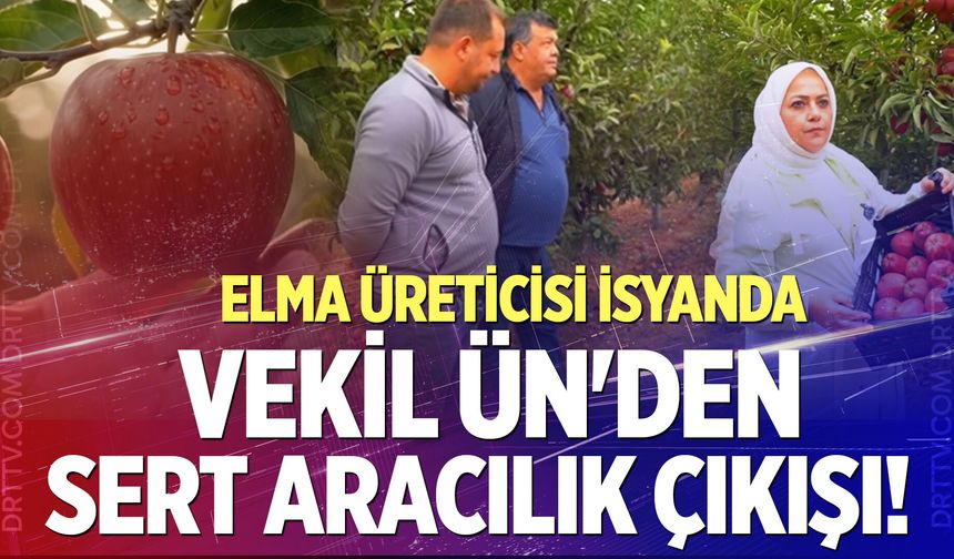 Elma üreticisi isyanda!  Vekil Ün'den sert aracılık çıkışı