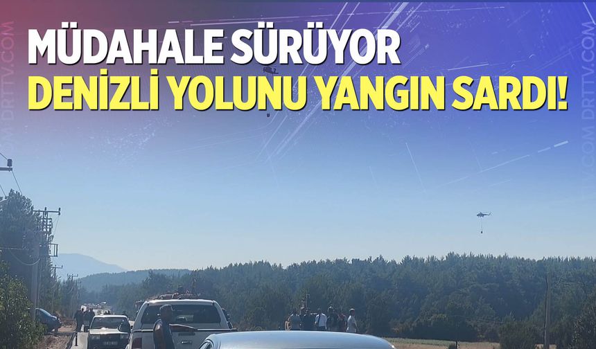 Muğla-Denizli karayolundaki yangına müdahale sürüyor