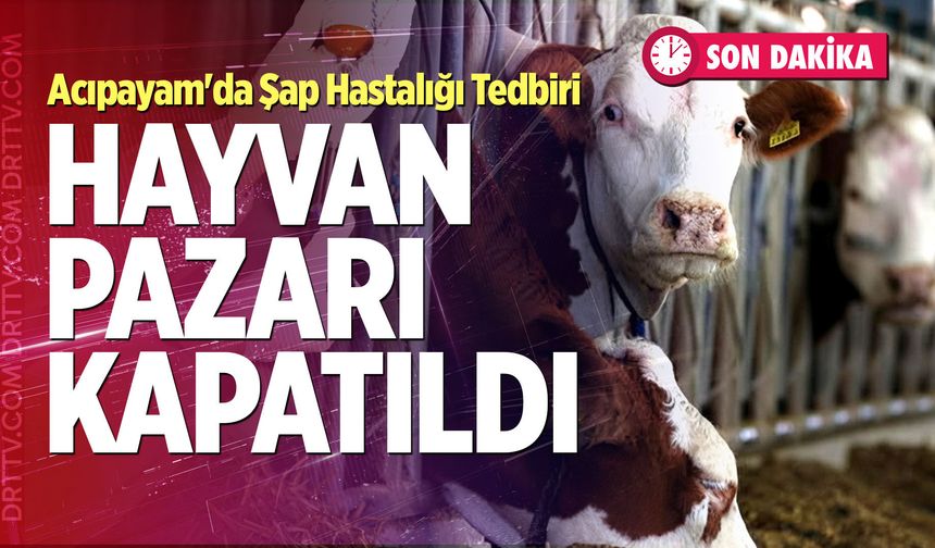Acıpayam'da Şap Hastalığı Tedbiri: Hayvan Pazarı Kapatıldı