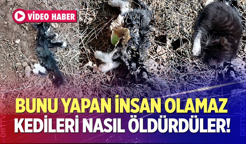 Bunu Yapan İnsan Olamaz!