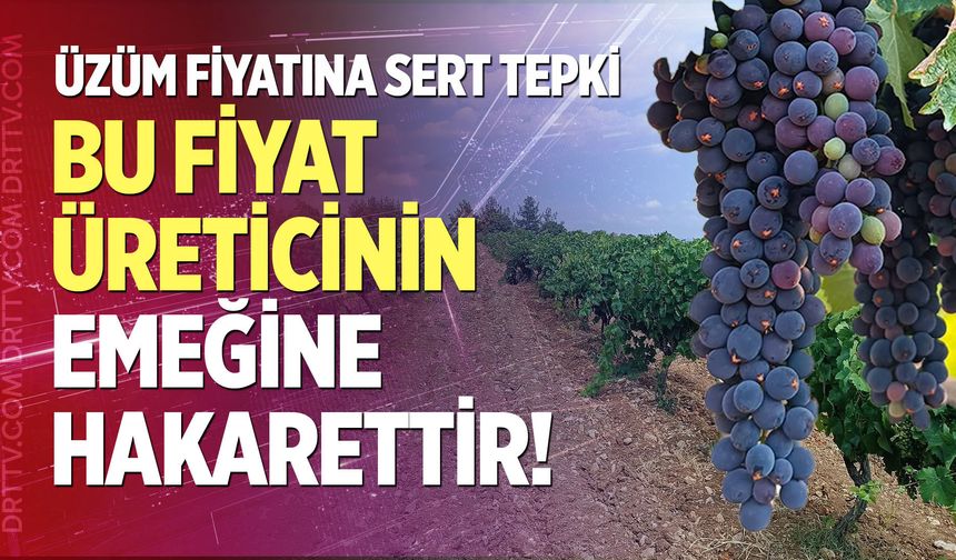 Üzüm fiyatına sert tepki: "Bu fiyat üreticinin emeğine hakarettir!"