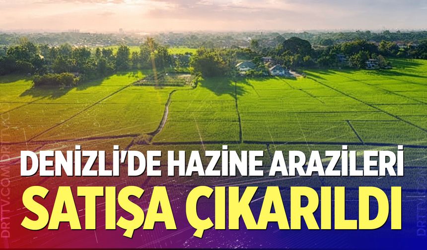 Denizli'de hazine arazileri satışa çıkarıldı