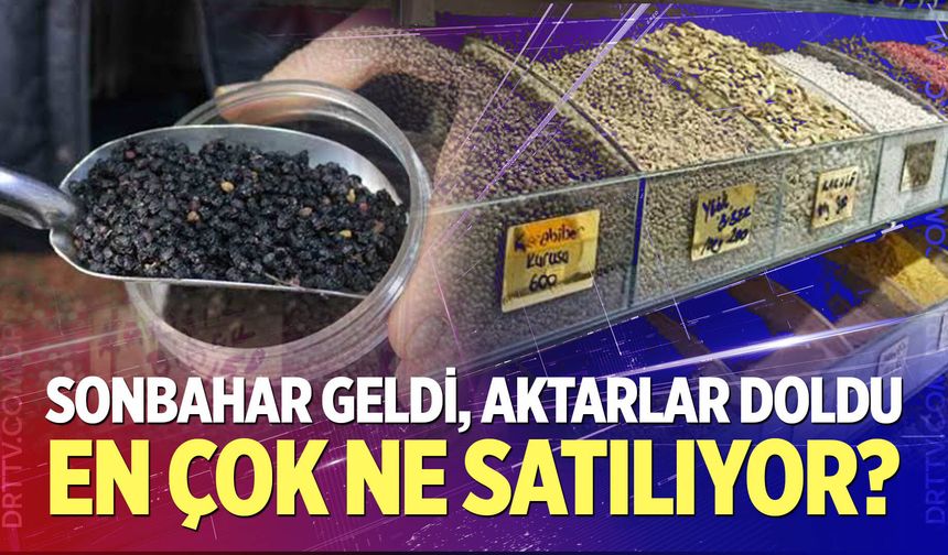 Aktarlarda sonbahar hareketliliği başladı