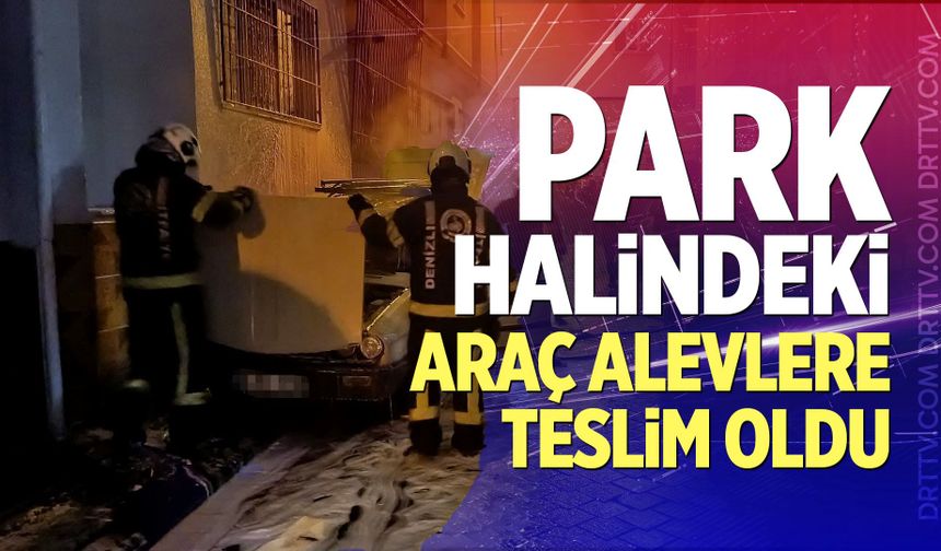 Park Halindeki Araç Alevlere Teslim Oldu