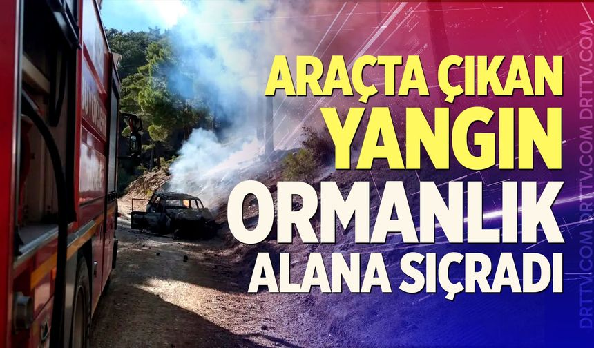 Araçta Çıkan Yangın Ormanlık Alana Sıçradı