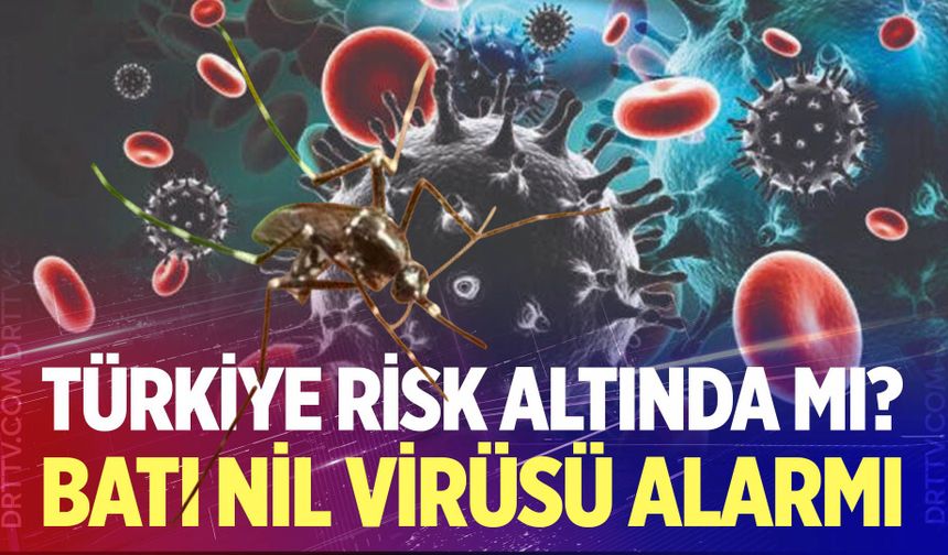 Batı Nil virüsü alarmı