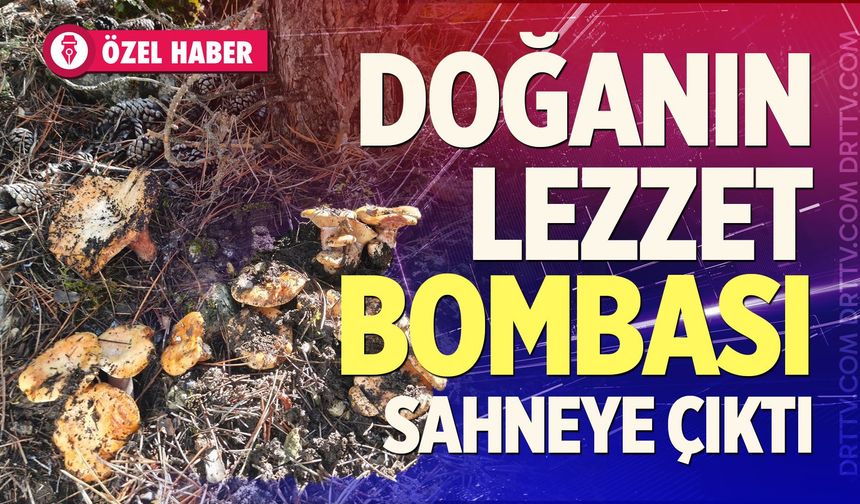 Doğanın Lezzet Bombası Sahneye Çıktı