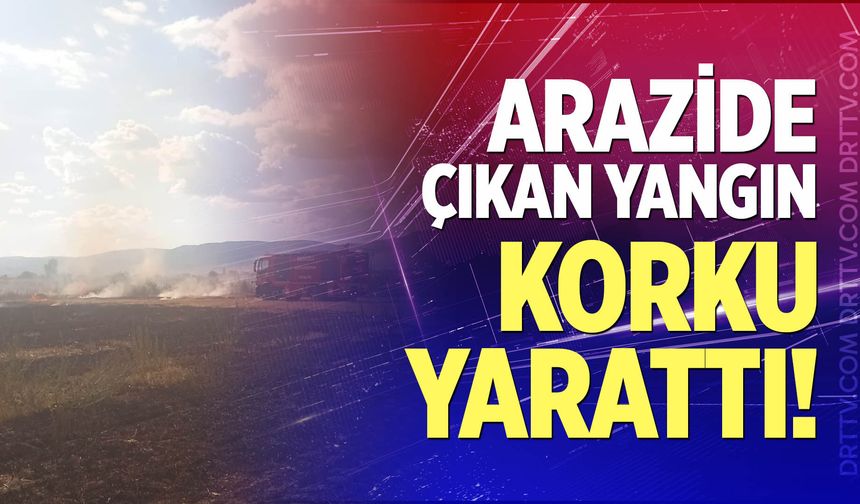 Tarım arazisinde yangın çıktı!