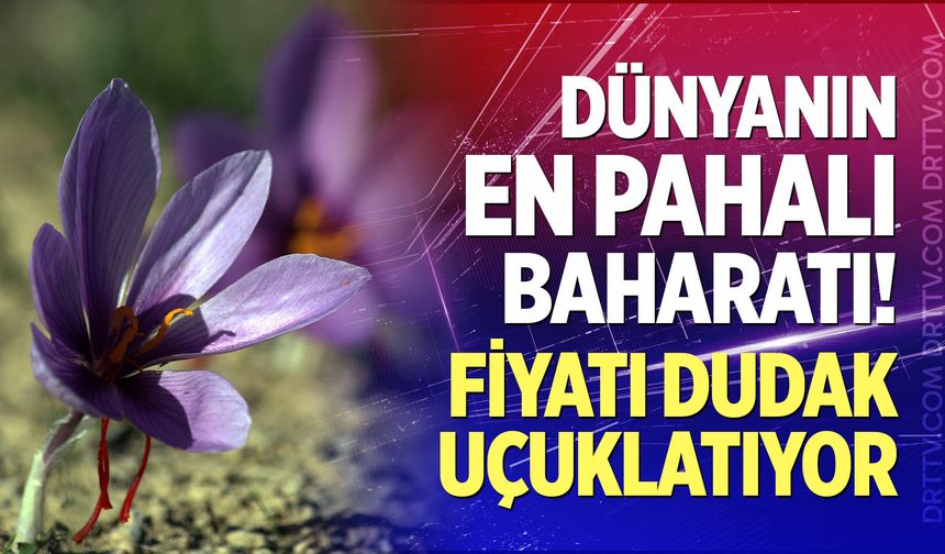Dünyanın en pahalı baharatı! Fiyatı dudak uçuklatıyor