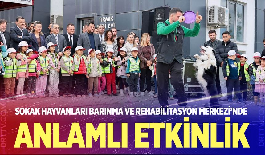 Sokak Hayvanları Barınma Ve Rehabilitasyon Merkezi’nde Anlamlı Etkinlik