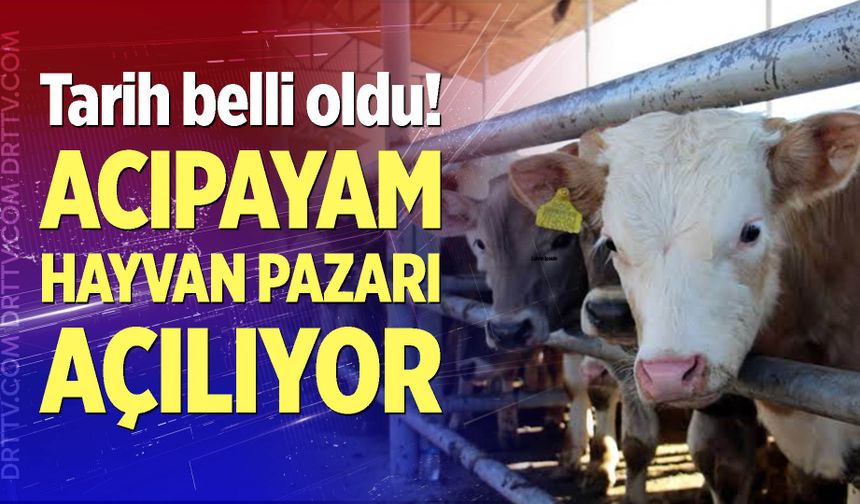 Acıpayam Hayvan Pazarı Açılıyor!