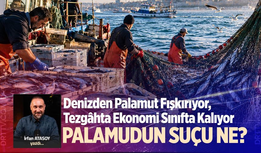 PALAMUDUN SUÇU NE?
