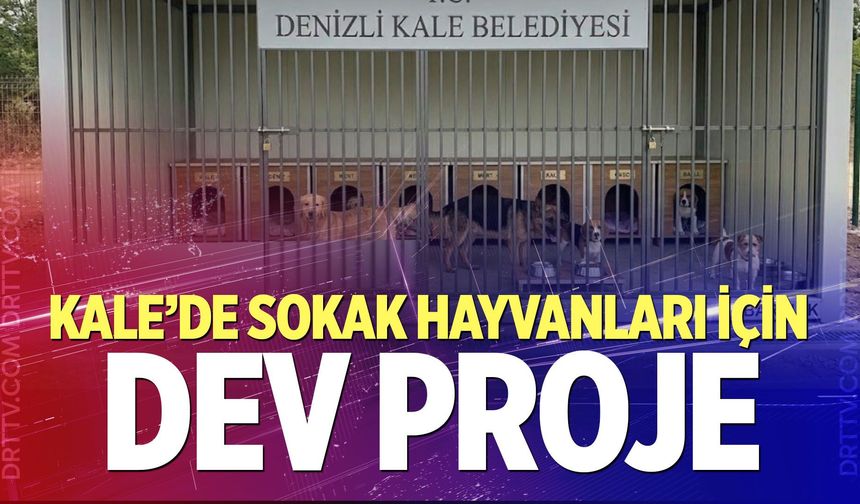 Kale’de Sokak Hayvanları İçin Dev Proje