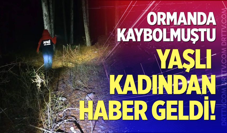 Ormanda kaybolmuştu, yaşlı kadından haber geldi!