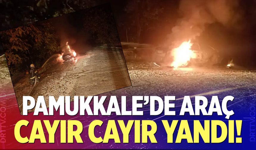 Pamukkale'de araç cayır cayır yandı!