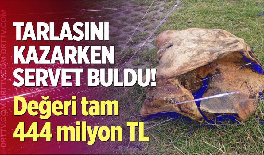 Tarlasını kazarken servet buldu! Değeri tam 444 milyon TL