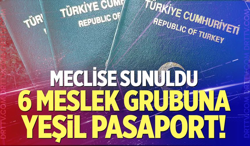 6 meslek grubuna daha yeşil pasaport geliyor