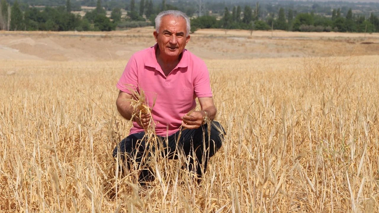 Hamdi Gemici-4