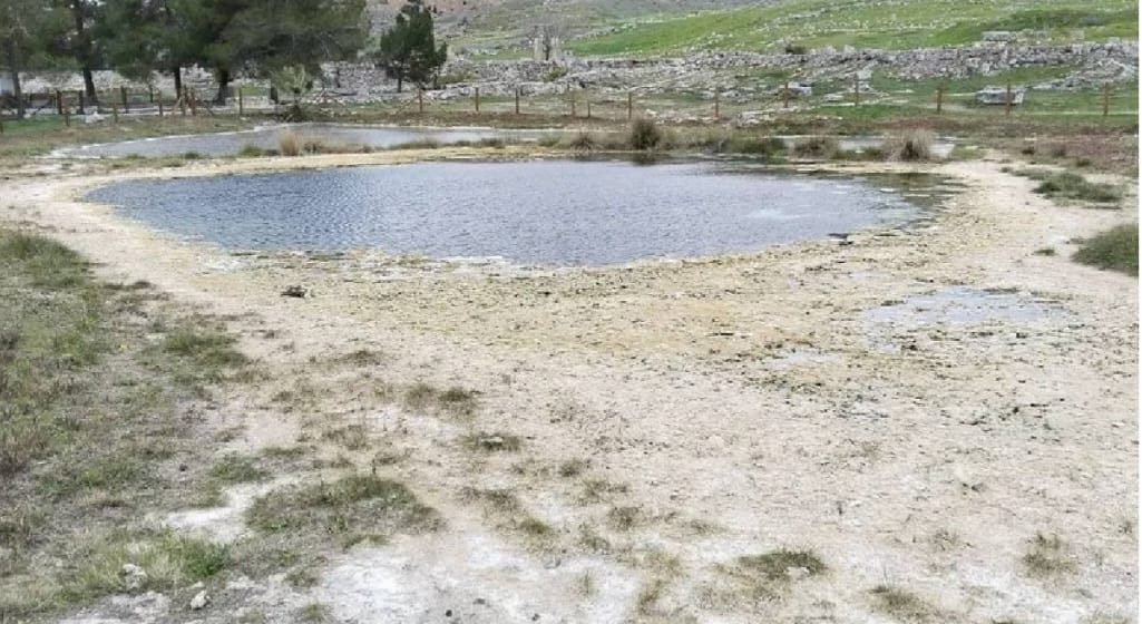 Whatsapp Görsel 2025 02 11 Saat 13.04.09 901A6D48