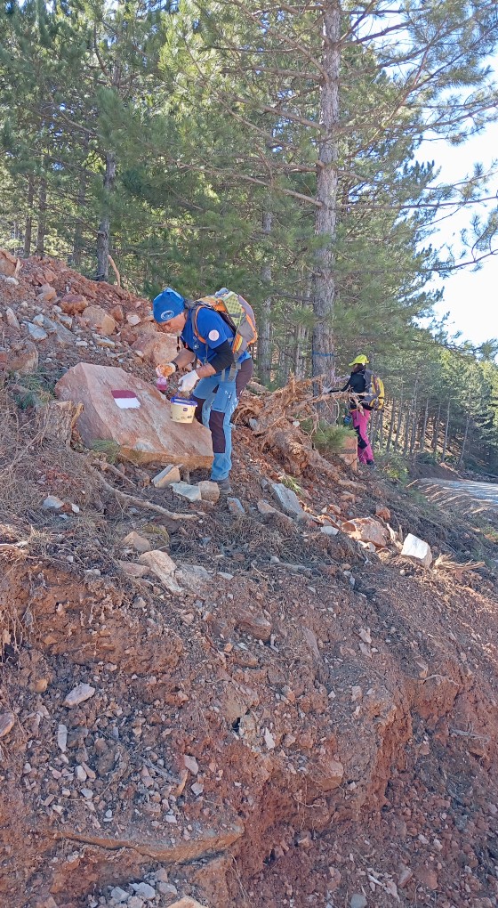 Denizli Haber Salbakos Yolu (1)