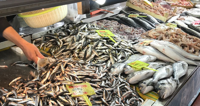 Denizli Haber Balık Fiyatları (3)
