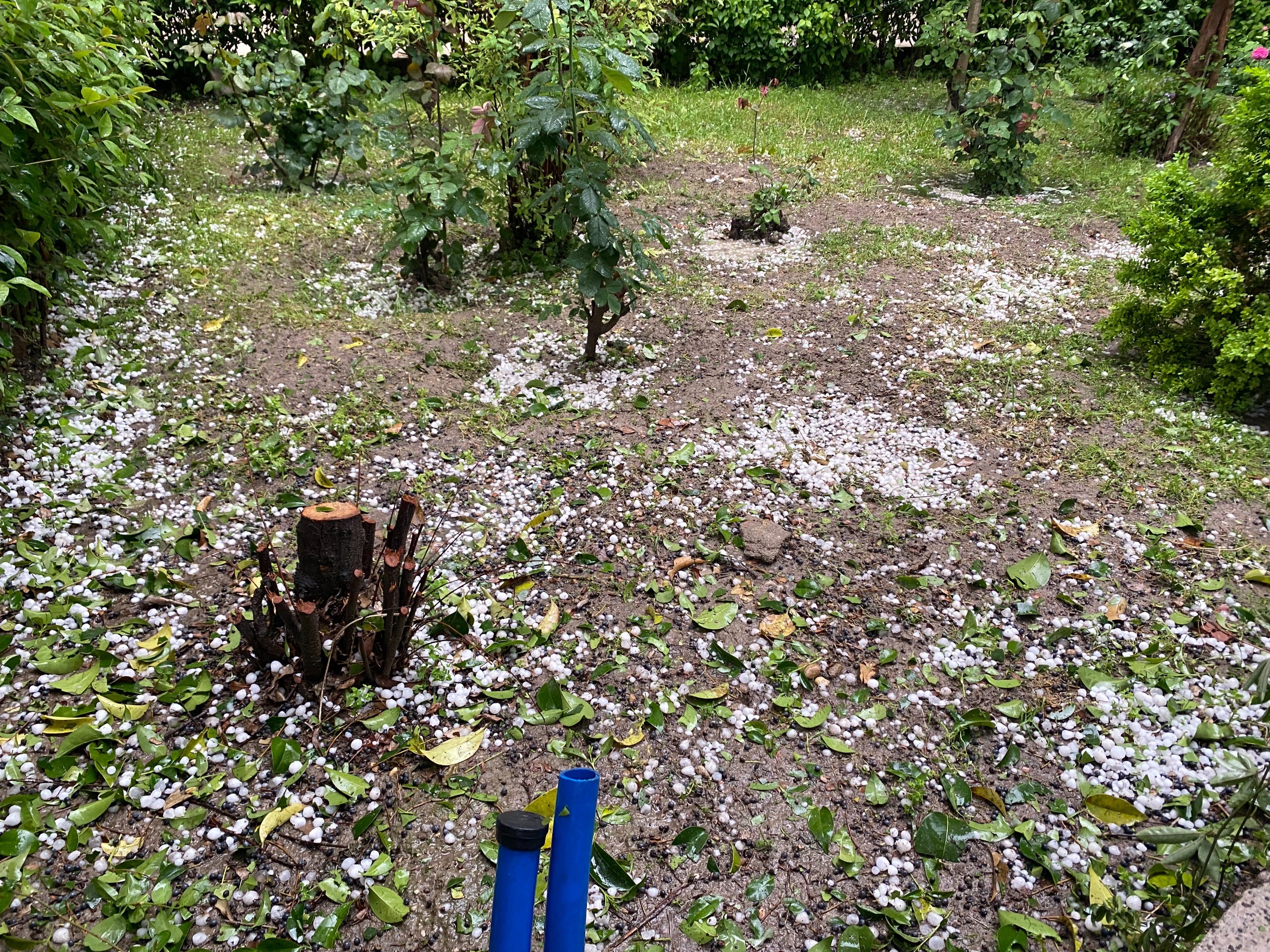 Denizli Haber Dolu (2)