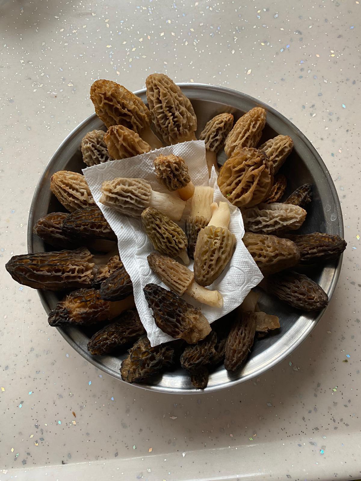 Denizli Haber Kuzu Göbeği Haberi (3)