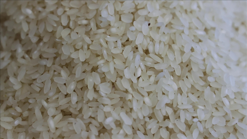 Deni̇zli̇ Haber Pakistan Menşeli Pirinç