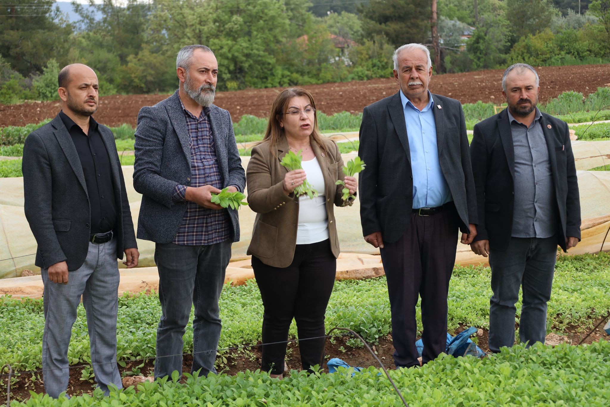 Denizli Haber Tütün Karaca (3)