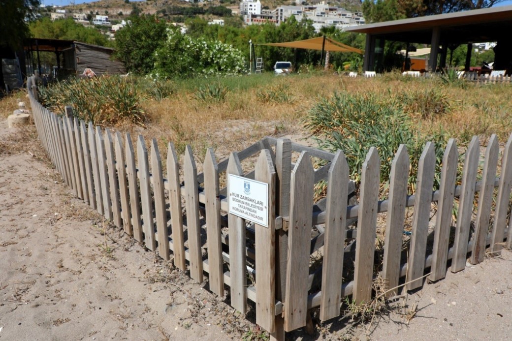 1Denizli Haber Çiçek (2)