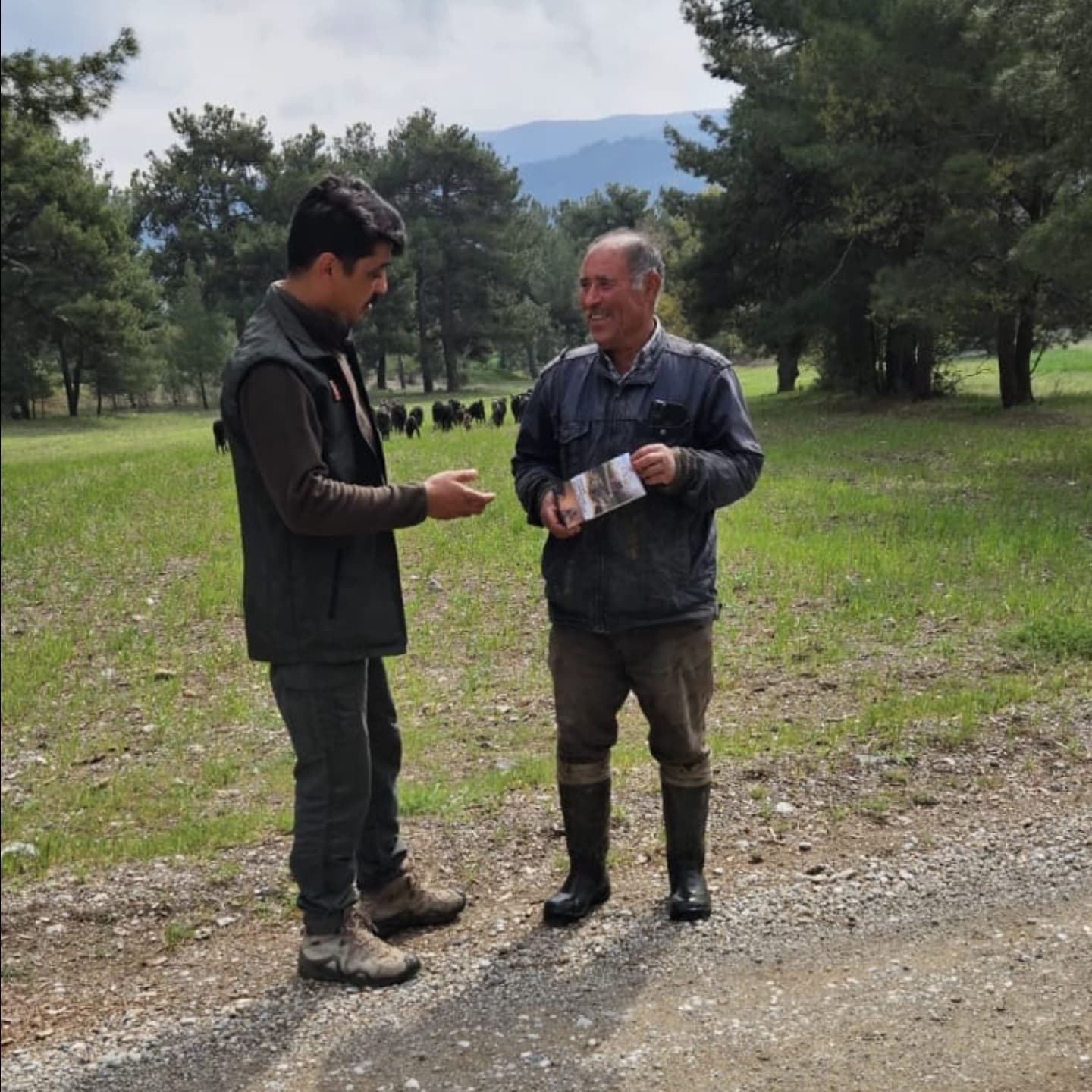 495335843 1496248258436415 3969561007312116395 N