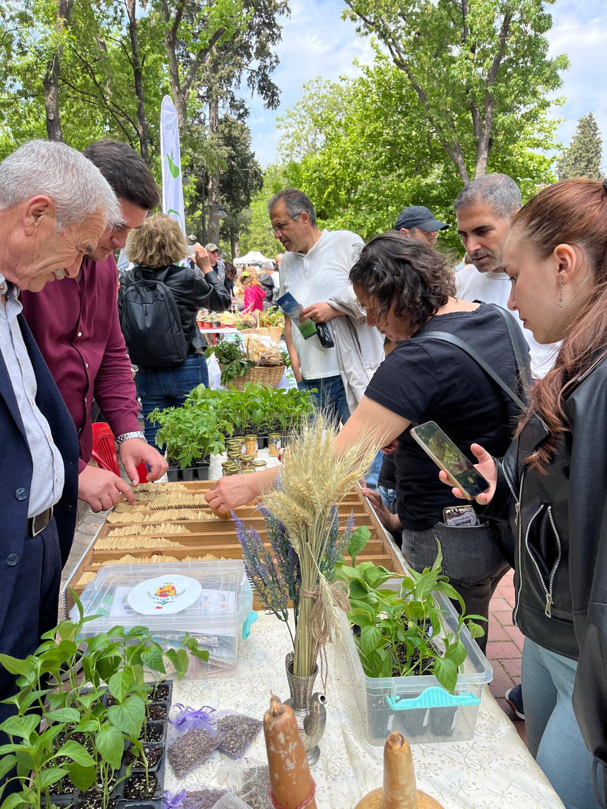 Denizli Haber Honaz Ata Tohumu (1)