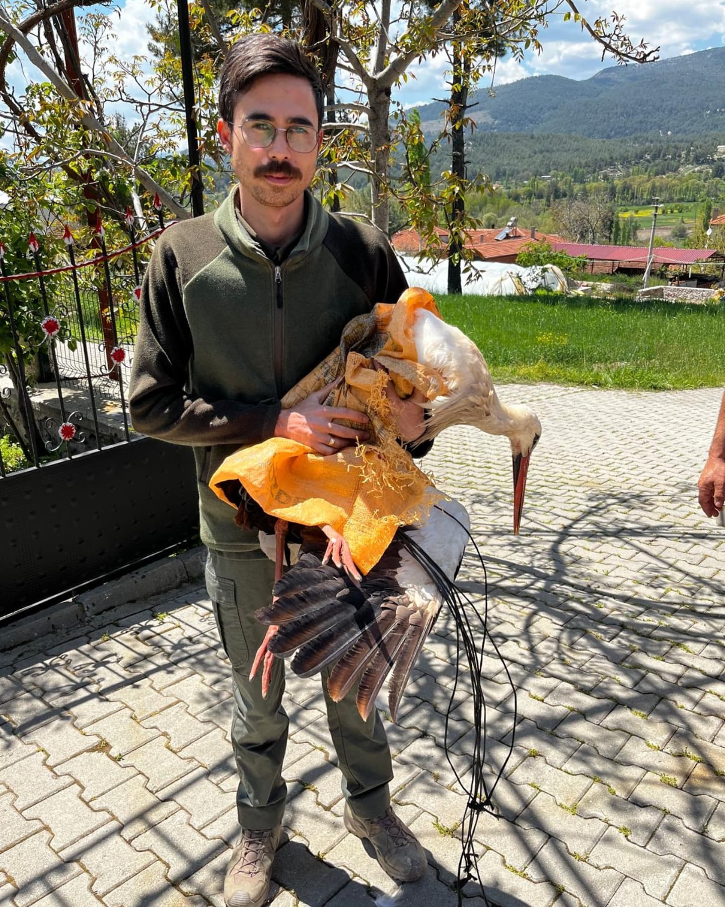 Denizli Oramn Leylek