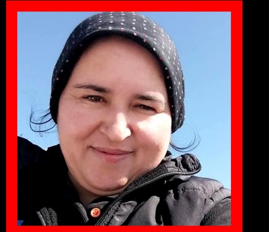 509287303 1050121887095717 6000885689483606863 N