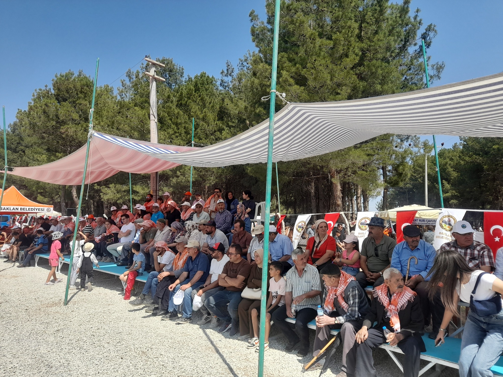 Baklan At Yarışları