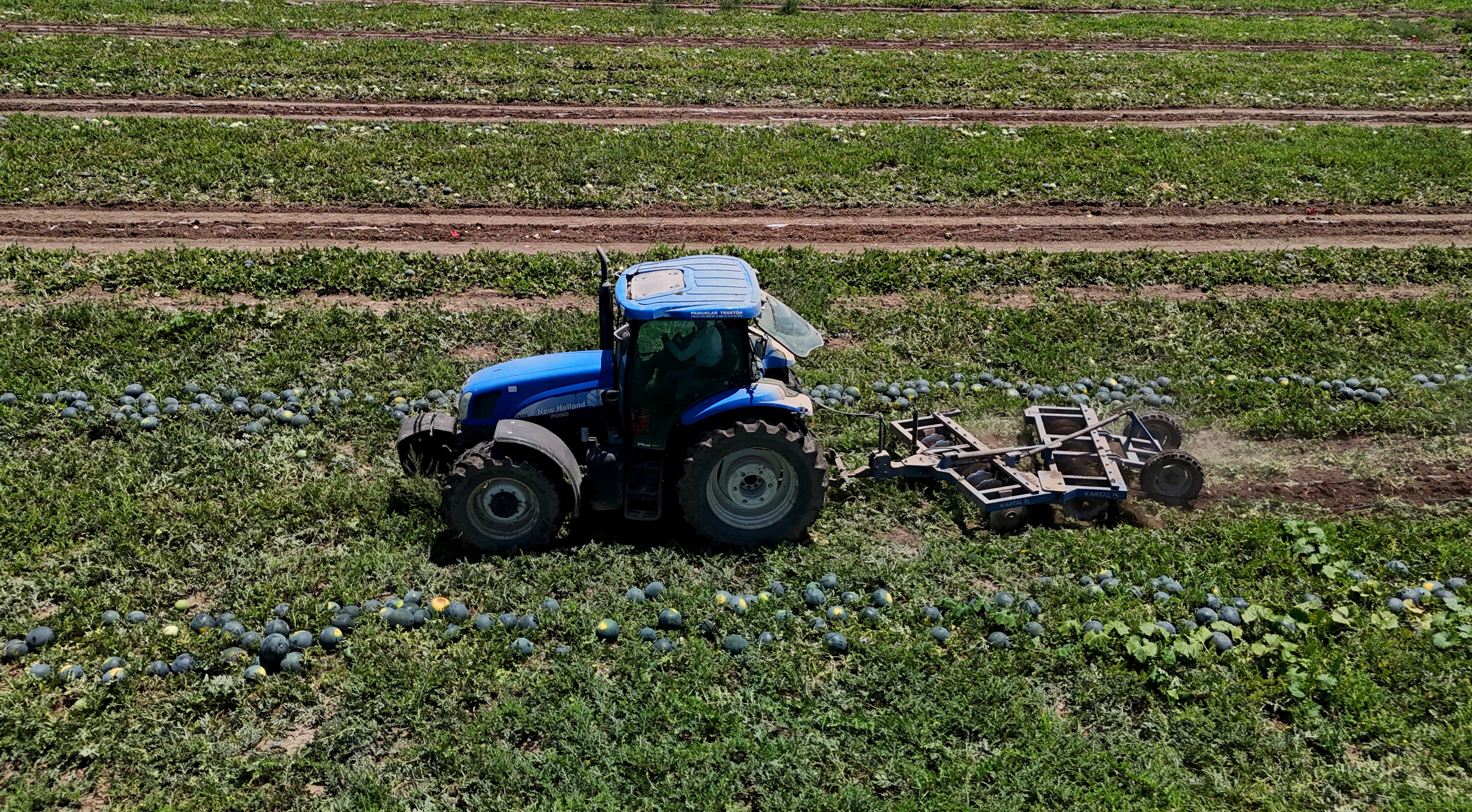 Denizli Habe Rkarpuz (4)